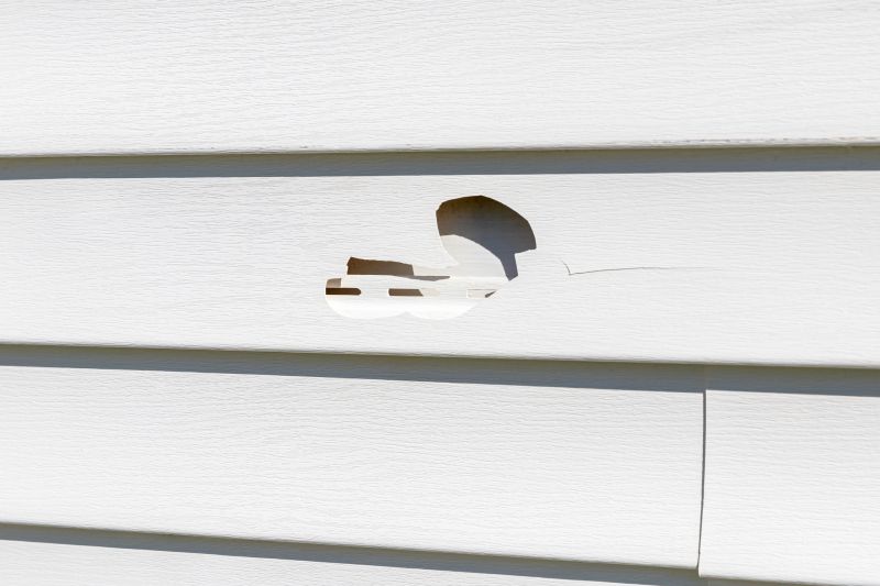Vinyl Siding Repair by Experts